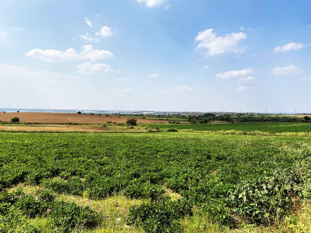Farm field in Anantapur